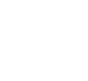 logo pensum–footer